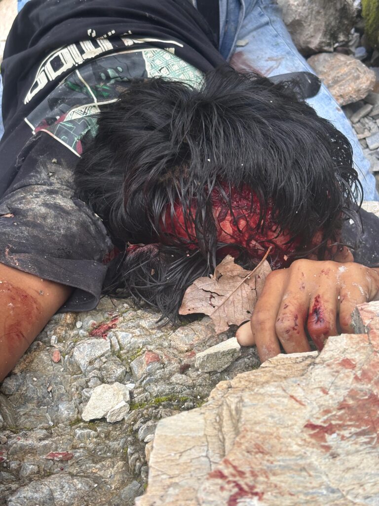 बागेश्वर के खडलेख और शामा के बीच सड़क से नीचे एक साइकिल झाड़ी में अटकी