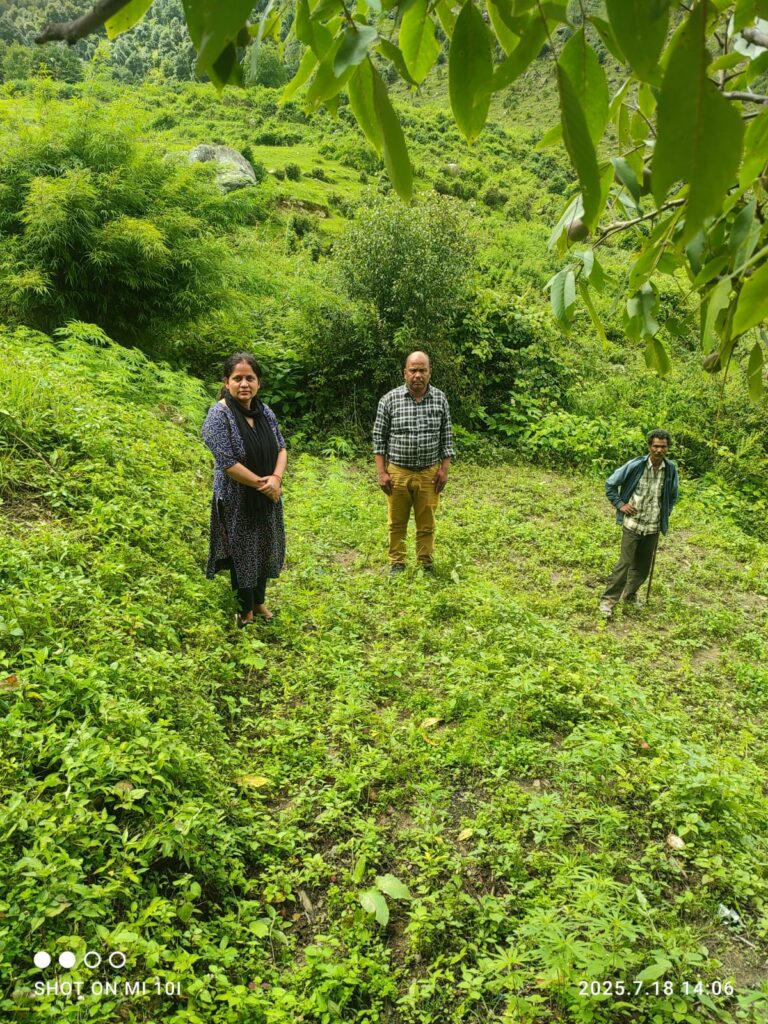 जंगल में उगी भांग पर चला प्रशासन का डंडा, मौके पर नष्ट की गई पूरी फसल!”