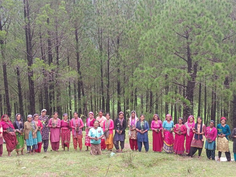 जब गांव ने लिया हरियाली का संकल्प: एक साथ लगे 500 पौधे, महिलाओं की भूमिका रही प्रेरणादायक