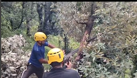 बिजली के तार पर गिरे विशालकाय पेड़ को हटाकर फायर टीम बागेश्वर ने बिजली आपुर्ति को किया सुचारु।