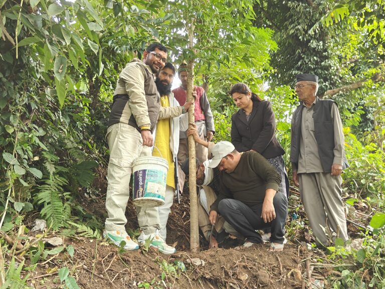 पत्रकारों ने अनोखे अंदाज में मनाया आईएफडब्ल्यूजे का 75वां स्थापना दिवस