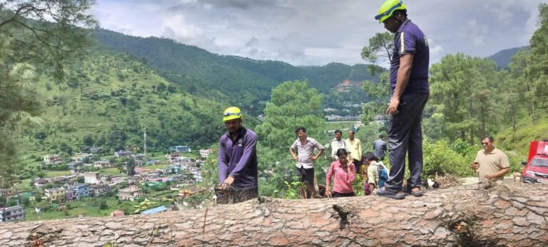 फायर स्टेशन बागेश्वर ने सड़क पर गिरे विशाल पेड़ को हटाकर यातायात किया सुचारु