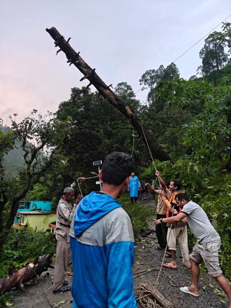 फायर स्टेशन बागेश्वर ने सड़क पर गिरे पेड़ को हटाकर यातायात कराया सुचारू
