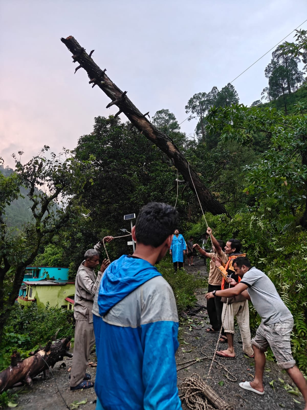 फायर स्टेशन बागेश्वर ने सड़क पर गिरे पेड़ को हटाकर यातायात कराया सुचारू